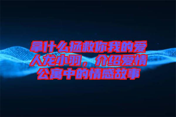 拿什么拯救你我的愛人龍小羽，介紹愛情公寓中的情感故事