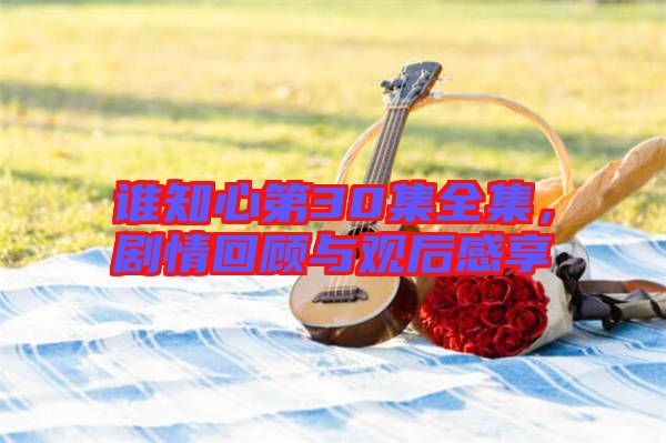 誰知心第30集全集，劇情回顧與觀后感享