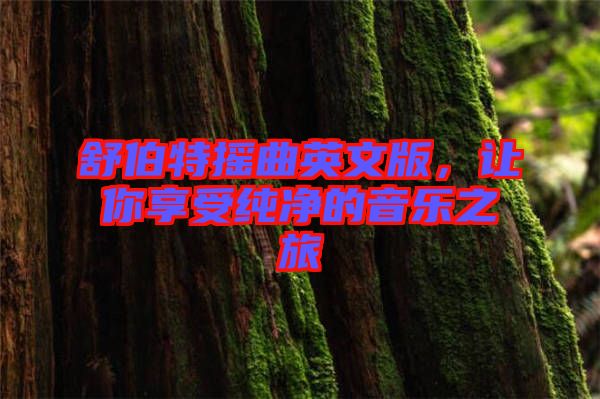 舒伯特?fù)u曲英文版，讓你享受純凈的音樂(lè)之旅