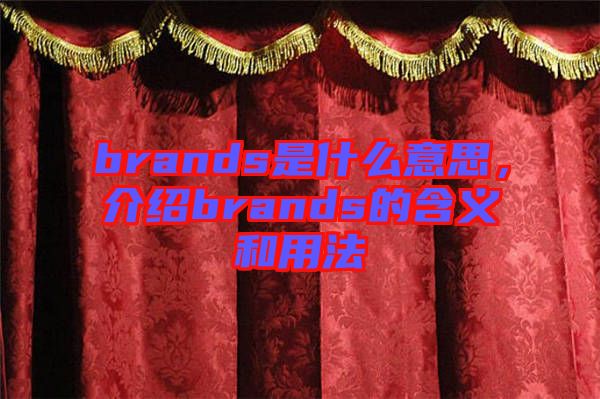 brands是什么意思，介紹brands的含義和用法