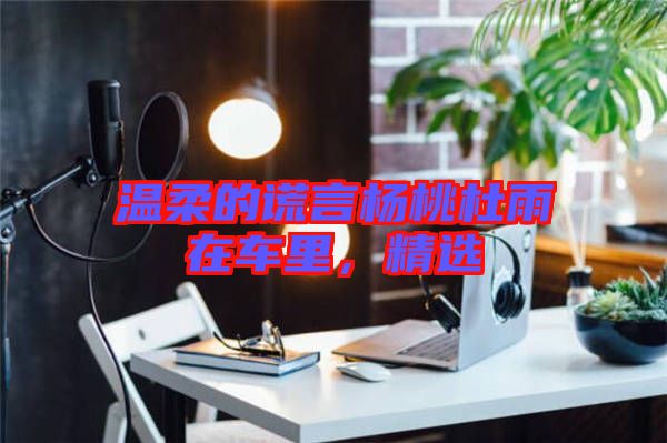 溫柔的謊言楊桃杜雨在車里，精選