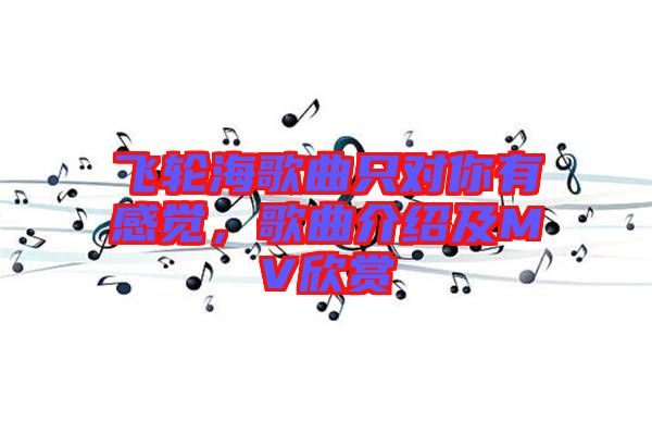 飛輪海歌曲只對(duì)你有感覺(jué)，歌曲介紹及MV欣賞