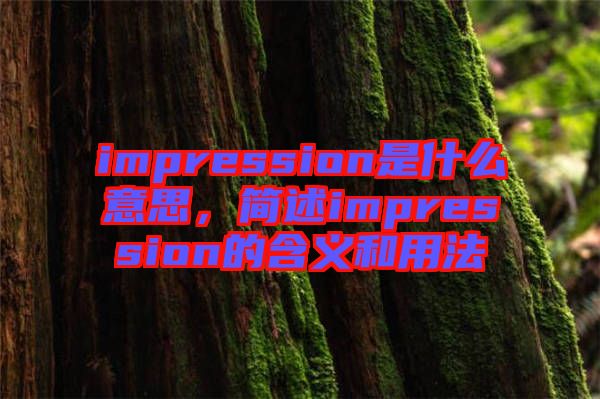 impression是什么意思，簡述impression的含義和用法