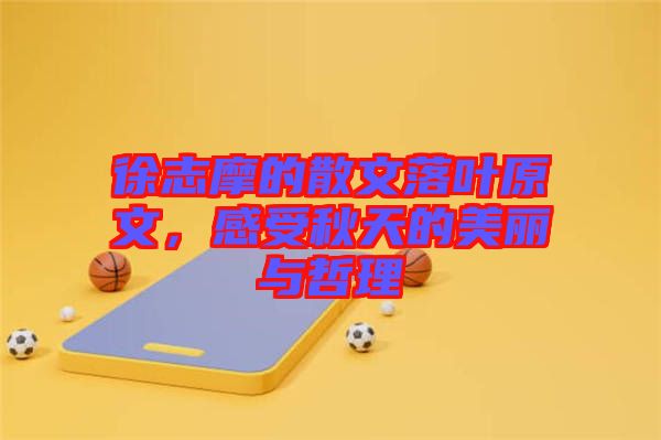 徐志摩的散文落葉原文，感受秋天的美麗與哲理