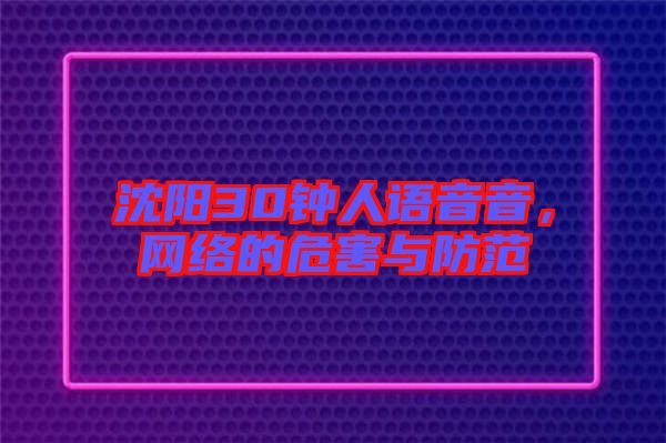 沈陽30鐘人語音音，網(wǎng)絡(luò)的危害與防范