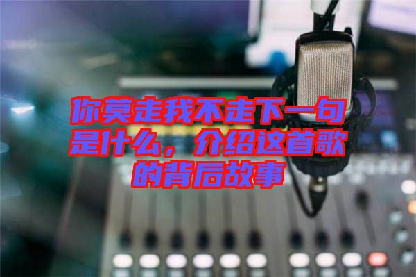 你莫走我不走下一句是什么，介紹這首歌的背后故事