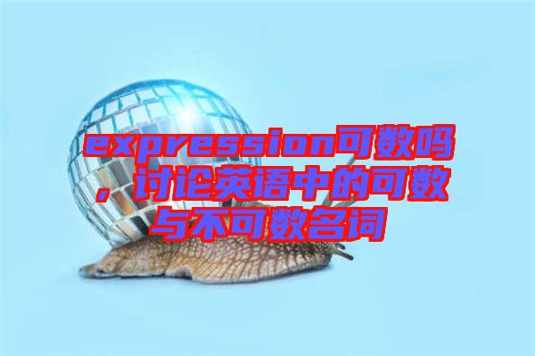 expression可數(shù)嗎，討論英語(yǔ)中的可數(shù)與不可數(shù)名詞