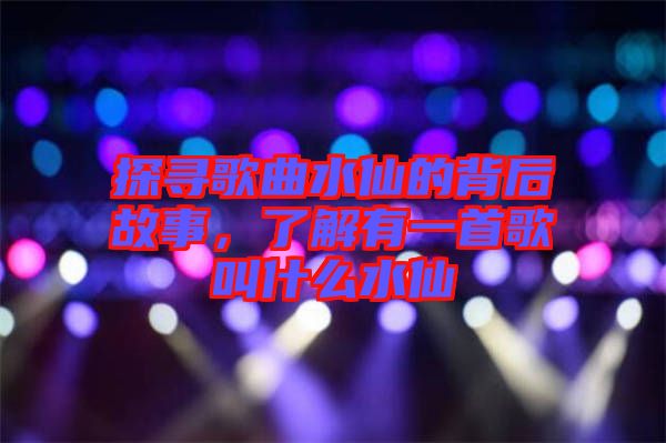 探尋歌曲水仙的背后故事，了解有一首歌叫什么水仙