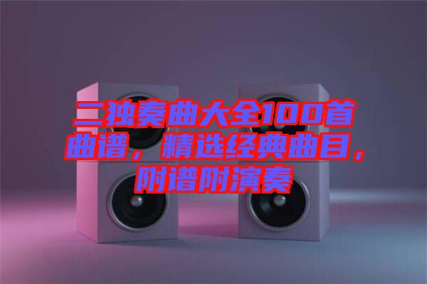 二獨(dú)奏曲大全100首曲譜，精選經(jīng)典曲目，附譜附演奏