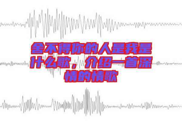 舍不得你的人是我是什么歌，介紹一首深情的情歌
