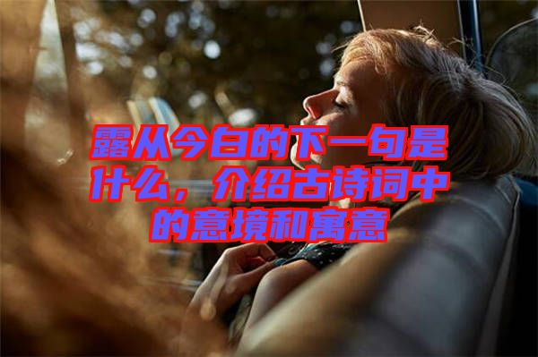 露從今白的下一句是什么，介紹古詩詞中的意境和寓意