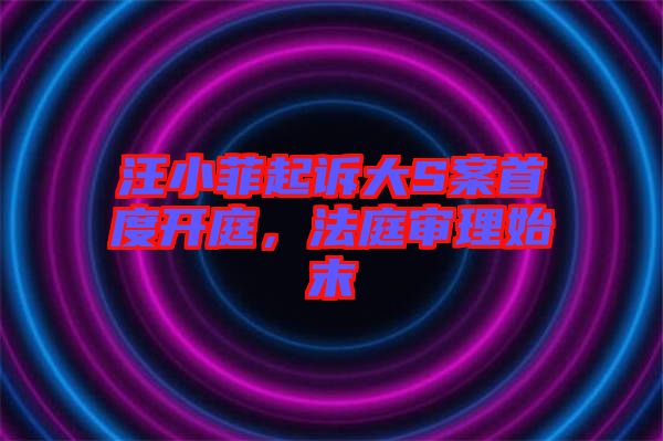 汪小菲起訴大S案首度開庭，法庭審理始末