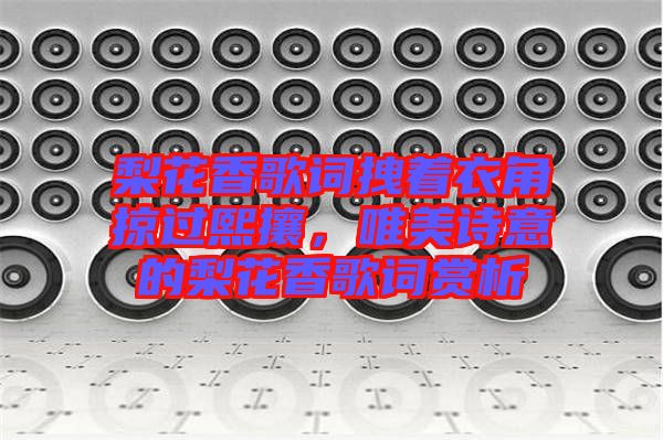 梨花香歌詞拽著衣角掠過(guò)熙攘，唯美詩(shī)意的梨花香歌詞賞析