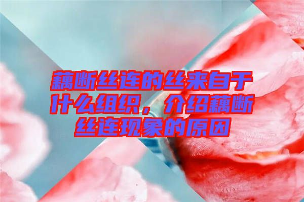 藕斷絲連的絲來(lái)自于什么組織，介紹藕斷絲連現(xiàn)象的原因