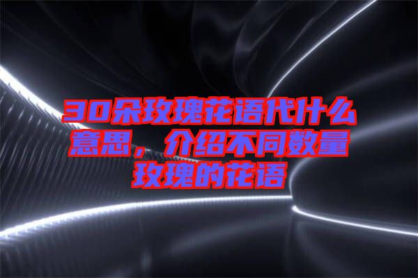 30朵玫瑰花語代什么意思，介紹不同數(shù)量玫瑰的花語