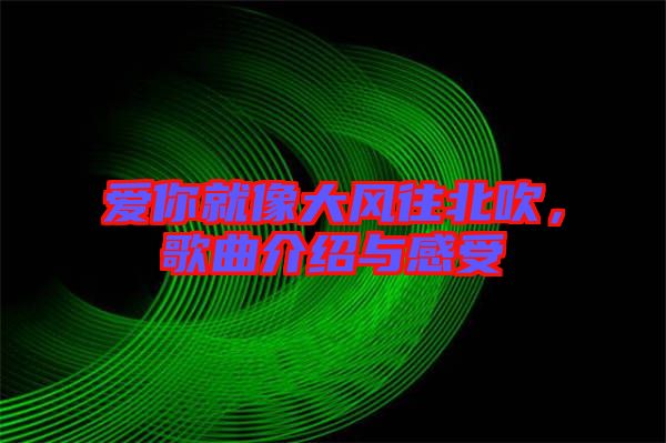 愛你就像大風往北吹，歌曲介紹與感受