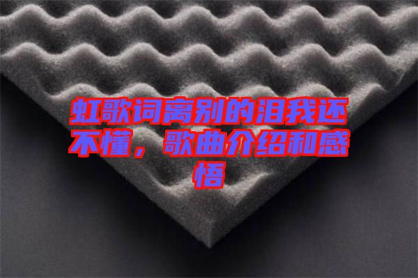 虹歌詞離別的淚我還不懂，歌曲介紹和感悟