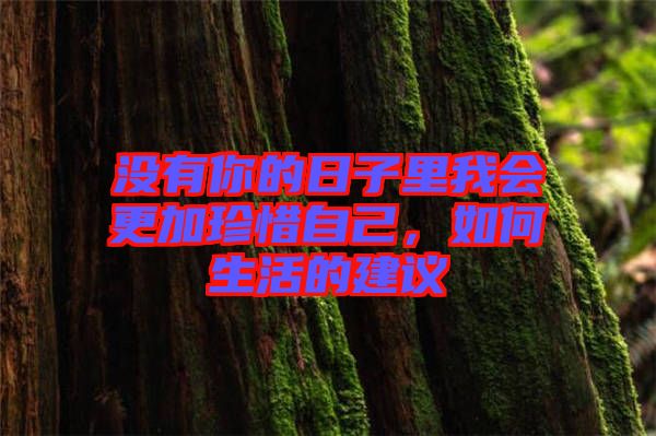 沒有你的日子里我會更加珍惜自己，如何生活的建議