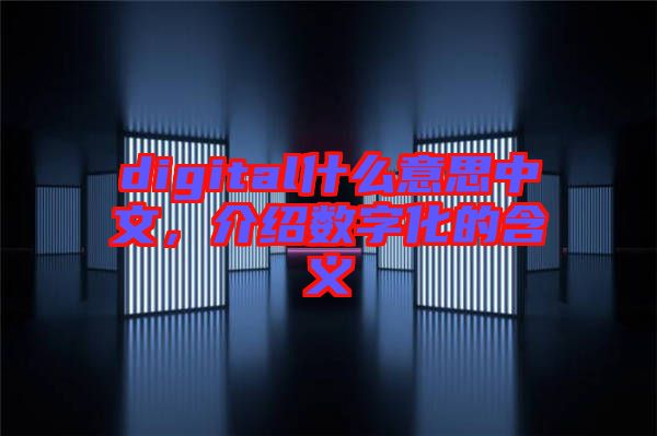 digital什么意思中文，介紹數(shù)字化的含義
