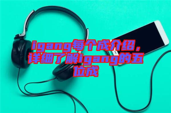 igang每個(gè)成介紹，詳細(xì)了解igang的五位成