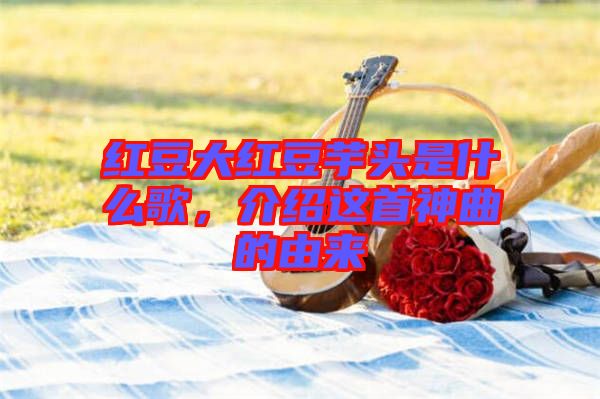 紅豆大紅豆芋頭是什么歌，介紹這首神曲的由來