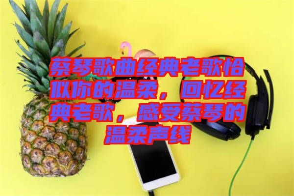 蔡琴歌曲經(jīng)典老歌恰似你的溫柔，回憶經(jīng)典老歌，感受蔡琴的溫柔聲線