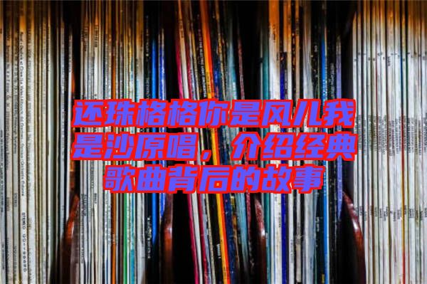 還珠格格你是風兒我是沙原唱，介紹經(jīng)典歌曲背后的故事
