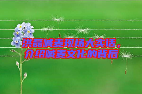 洪磊喊麥現(xiàn)場(chǎng)大實(shí)話(huà)，介紹喊麥文化的背后