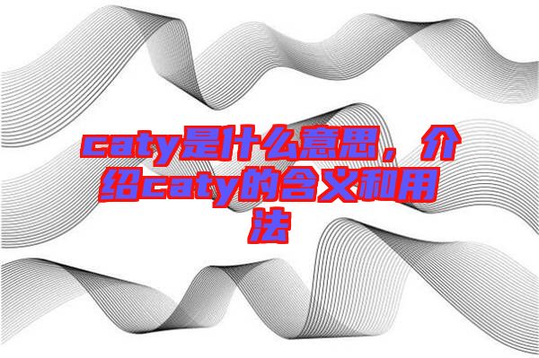 caty是什么意思，介紹caty的含義和用法