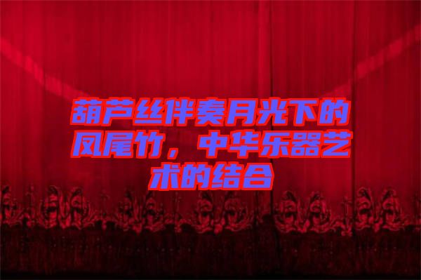 葫蘆絲伴奏月光下的鳳尾竹，中華樂器藝術(shù)的結(jié)合