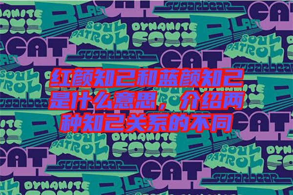 紅顏知己和藍(lán)顏知己是什么意思，介紹兩種知己關(guān)系的不同