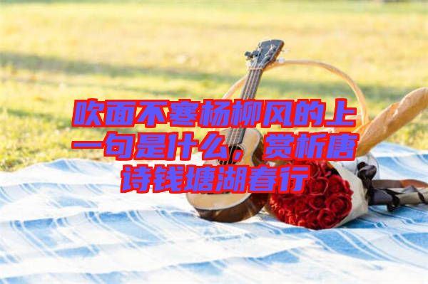 吹面不寒楊柳風(fēng)的上一句是什么，賞析唐詩錢塘湖春行