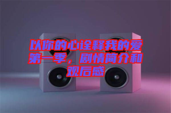 以你的心詮釋我的愛第一季，劇情簡介和觀后感