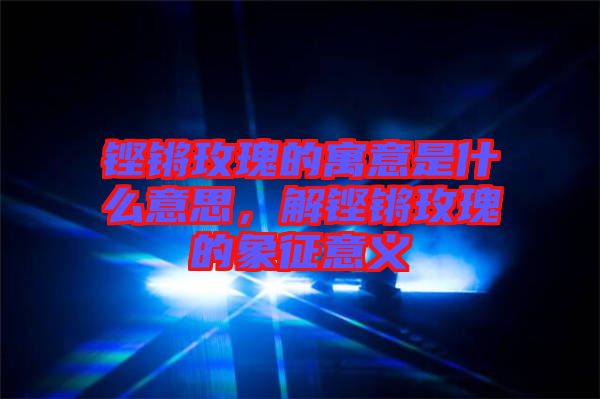 鏗鏘玫瑰的寓意是什么意思，解鏗鏘玫瑰的象征意義