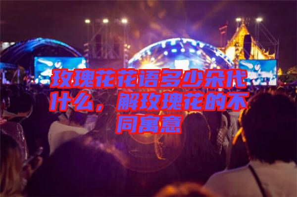 玫瑰花花語多少朵代什么，解玫瑰花的不同寓意