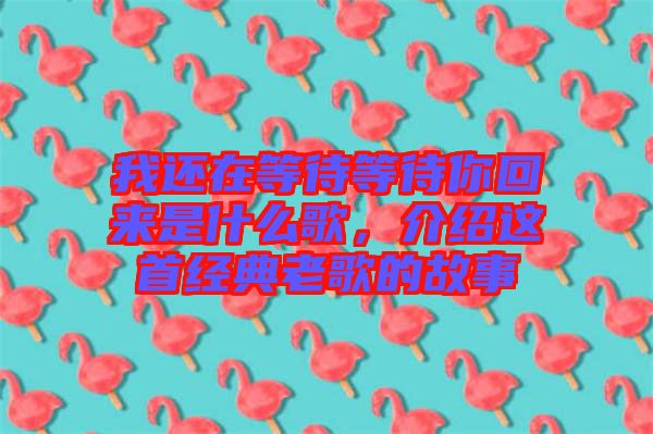 我還在等待等待你回來是什么歌，介紹這首經(jīng)典老歌的故事