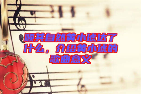 順其自然黃小琥達(dá)了什么，介紹黃小琥的歌曲意義