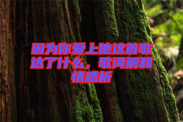 因為你愛上他這首歌達(dá)了什么，歌詞解和情感析