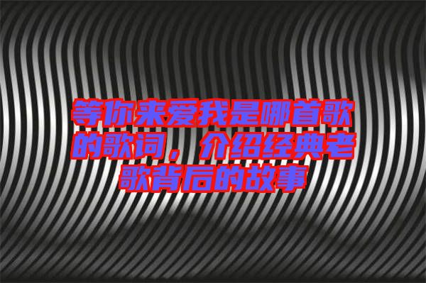 等你來愛我是哪首歌的歌詞，介紹經(jīng)典老歌背后的故事