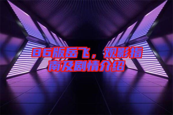 86版岳飛，觀影指南及劇情介紹