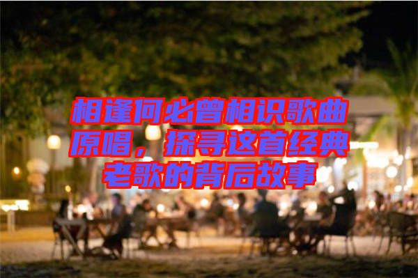 相逢何必曾相識歌曲原唱，探尋這首經(jīng)典老歌的背后故事