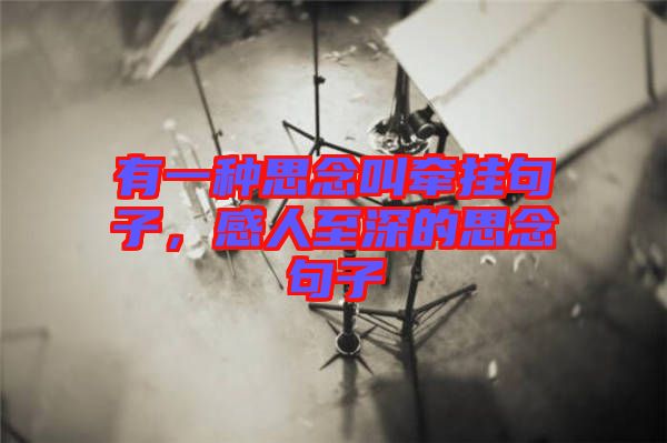 有一種思念叫牽掛句子，感人至深的思念句子