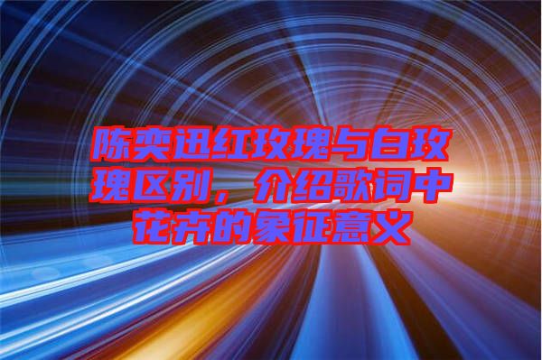 陳奕迅紅玫瑰與白玫瑰區(qū)別，介紹歌詞中花卉的象征意義