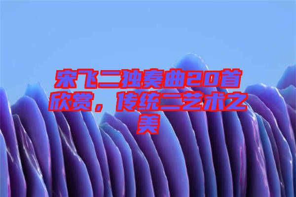 宋飛二獨(dú)奏曲20首欣賞，傳統(tǒng)二藝術(shù)之美