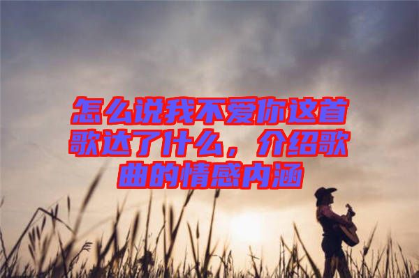 怎么說我不愛你這首歌達(dá)了什么，介紹歌曲的情感內(nèi)涵