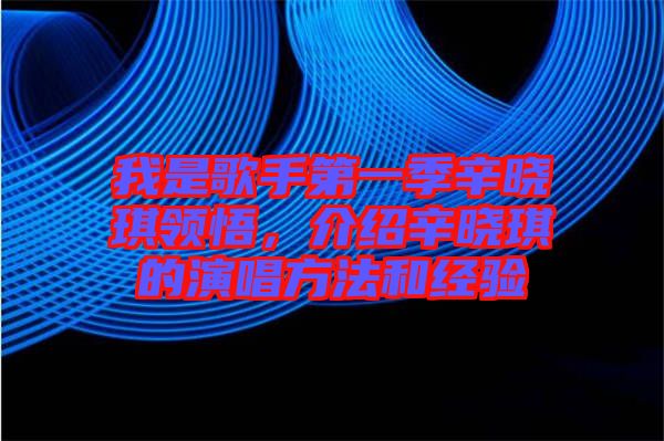 我是歌手第一季辛?xí)早黝I(lǐng)悟，介紹辛?xí)早鞯难莩椒ê徒?jīng)驗(yàn)