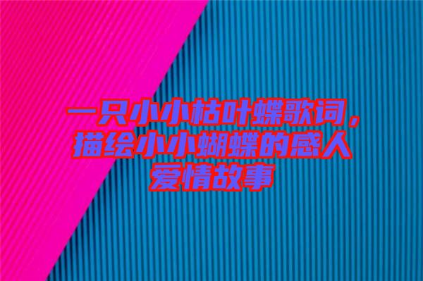 一只小小枯葉蝶歌詞，描繪小小蝴蝶的感人愛情故事