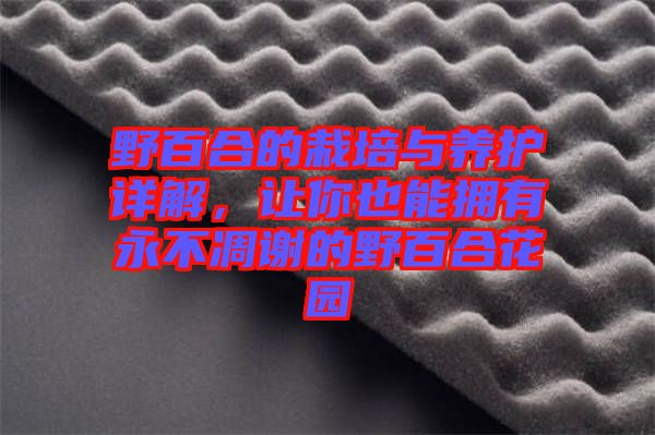 野百合的栽培與養(yǎng)護(hù)詳解，讓你也能擁有永不凋謝的野百合花園