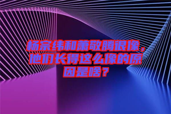 楊宗緯和蕭敬騰很像，他們長(zhǎng)得這么像的原因是啥？
