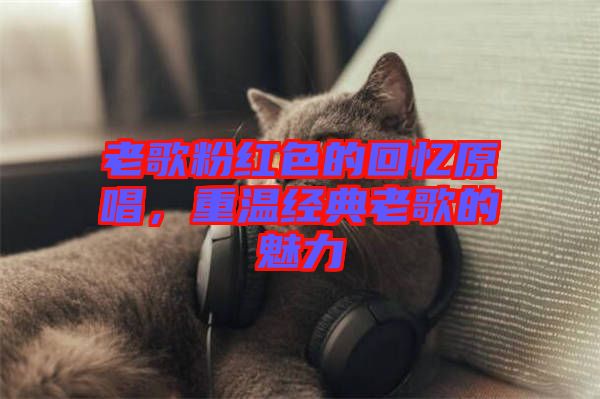 老歌粉紅色的回憶原唱，重溫經(jīng)典老歌的魅力